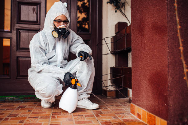 Reliable Bed Bug Control contractor in Honokaa, HI by Nex Pest Control
