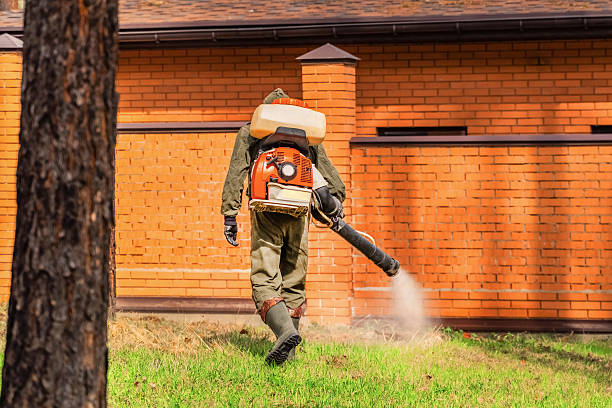 Trusted Bed Bug Control service in Honokaa, HI - Nex Pest Control